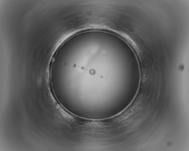 X0000101211287200806271406