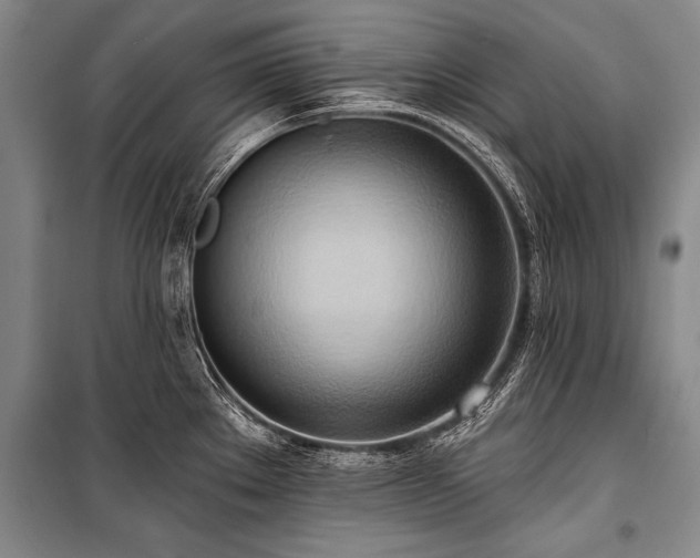 X0000101211289200806271405
