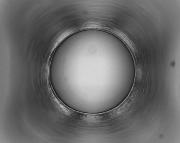 X0000101211290200806271405