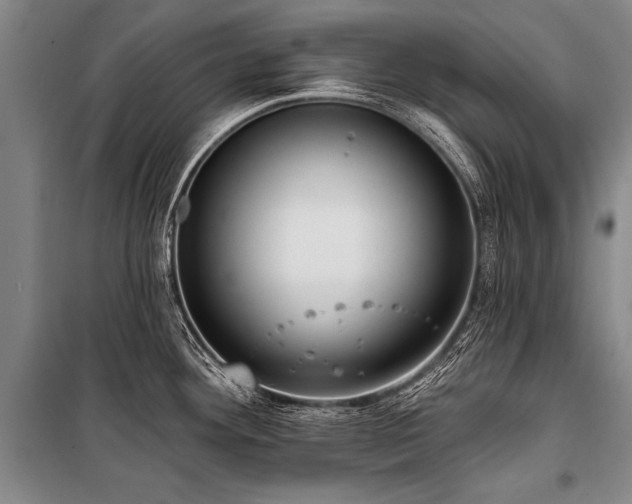 X0000101211292200806271405
