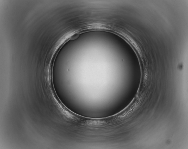 X0000101211293200806271405