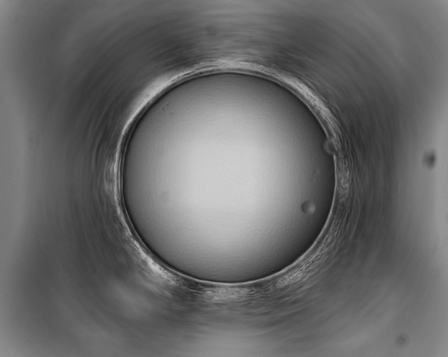 X0000101211294200806271405