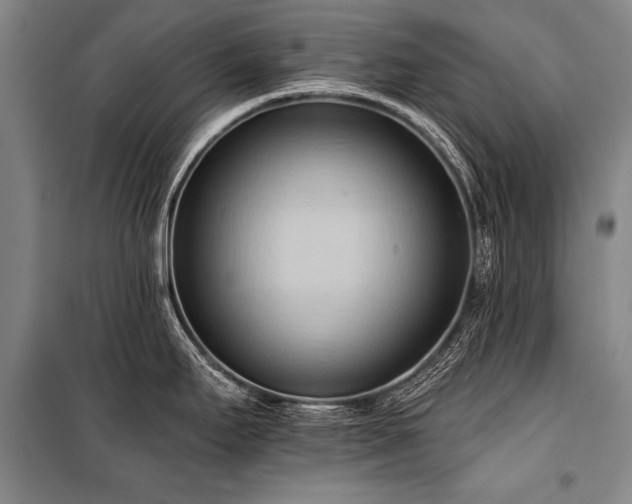 X0000101211295200806271405