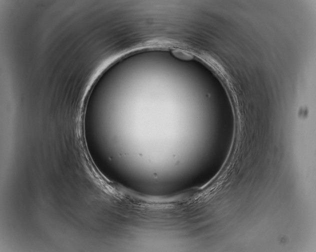 X0000101211296200806271405