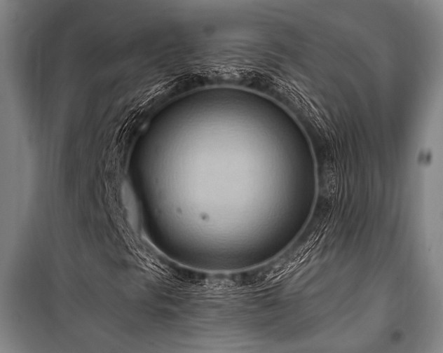 X0000101211297200806271405