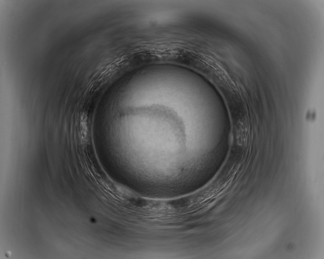X0000101211298200806271405