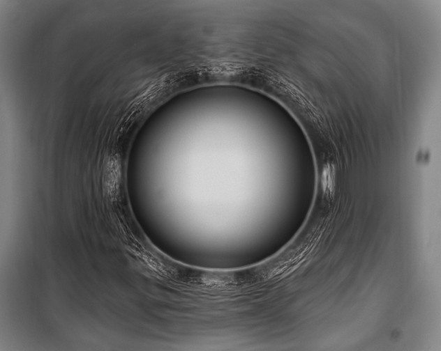 X0000101211299200806271405