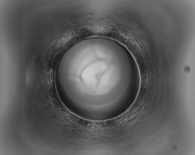 X0000101211301200806271405