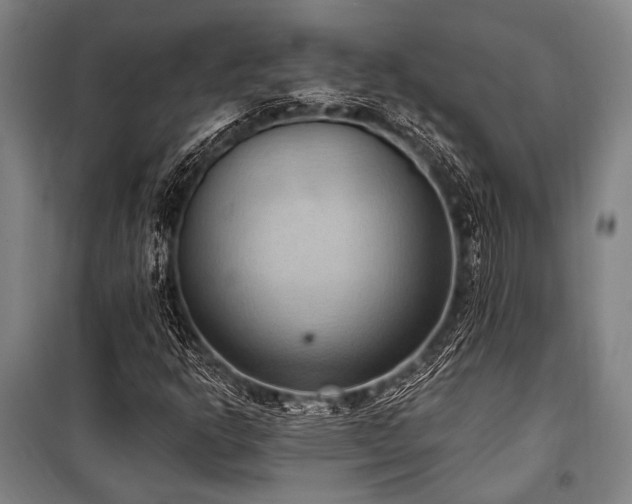 X0000101211302200806271405