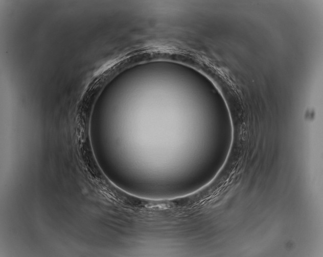 X0000101211303200806271405