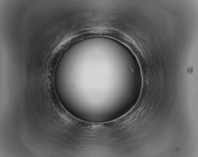 X0000101211304200806271405