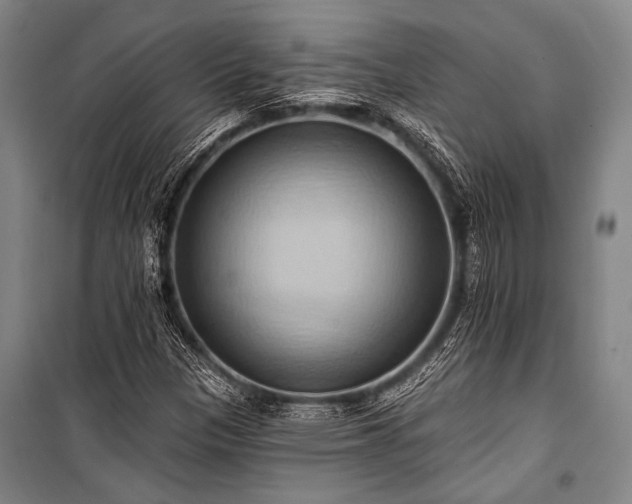 X0000101211305200806271405