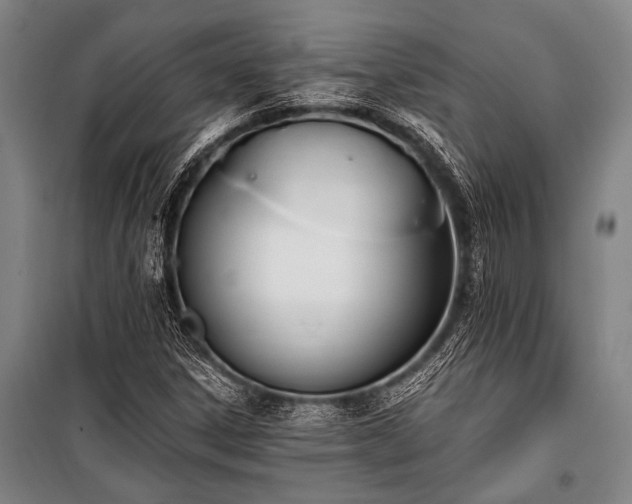 X0000101211306200806271405