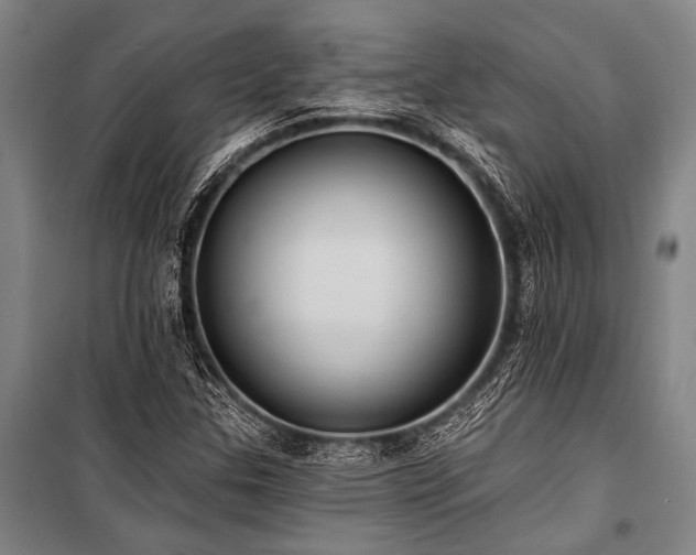X0000101211307200806271405