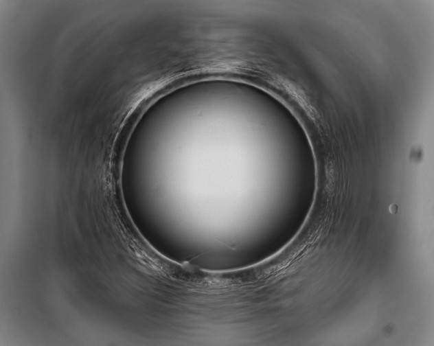 X0000101211308200806271405