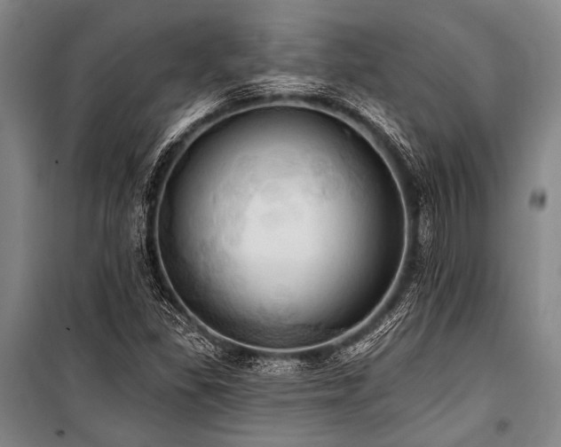 X0000101211309200806271405