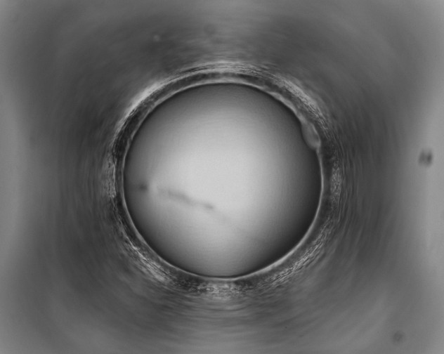 X0000101211310200806271405