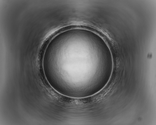 X0000101211311200806271405