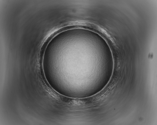 X0000101211312200806271405
