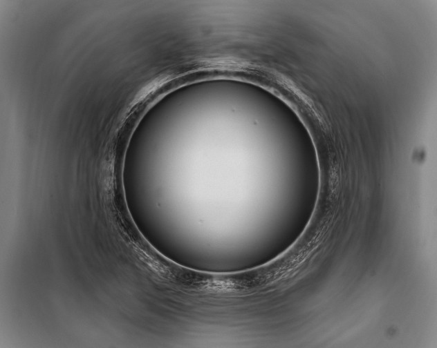 X0000101211315200806271405