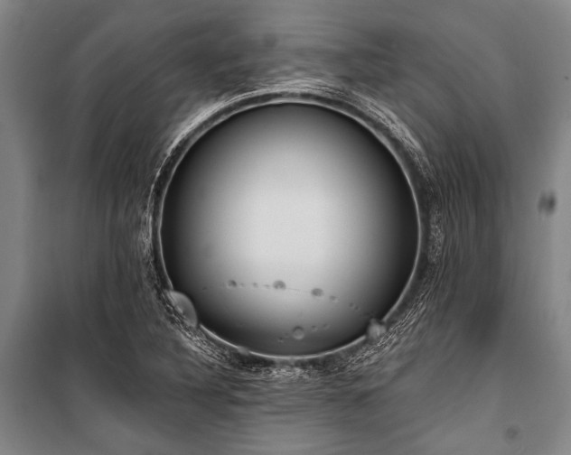 X0000101211316200806271405