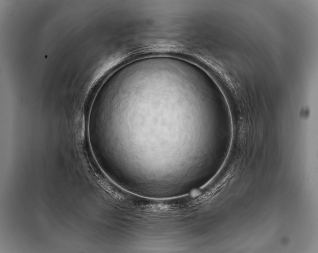 X0000101211317200806271405