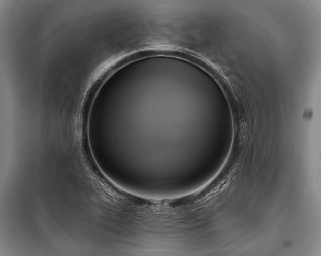 X0000101211319200806271405