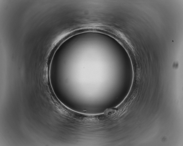 X0000101211320200806271405