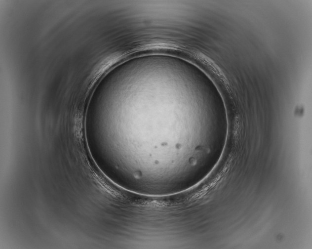 X0000101211321200806271405