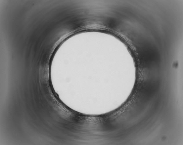 X0000101211322200806271405