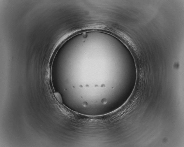 X0000101211324200806271405