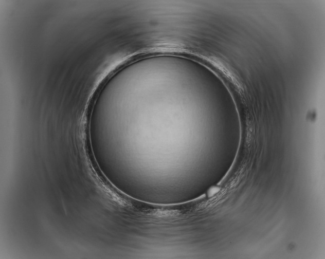 X0000101211325200806271405