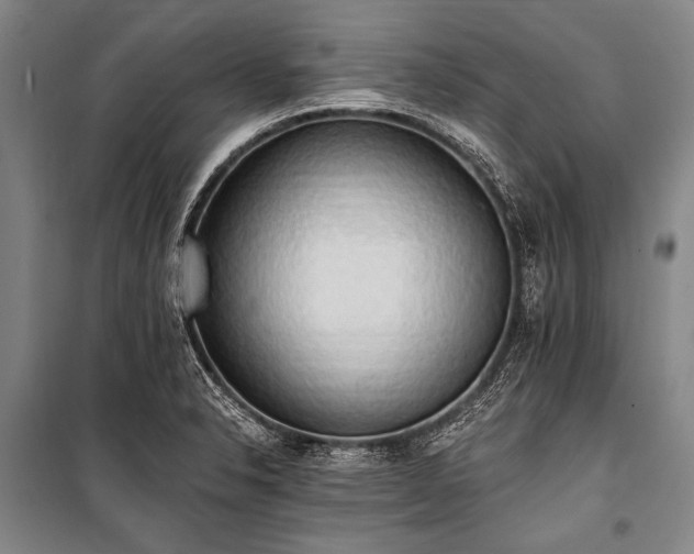 X0000101211326200806271405