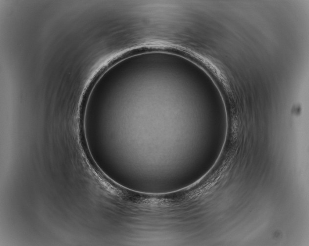 X0000101211327200806271405