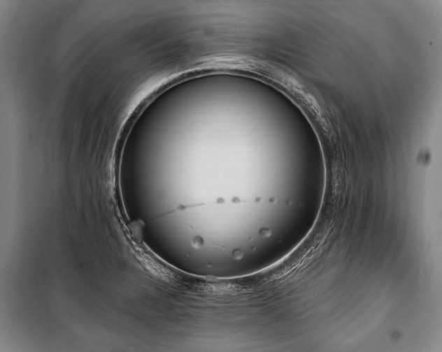 X0000101211328200806271405