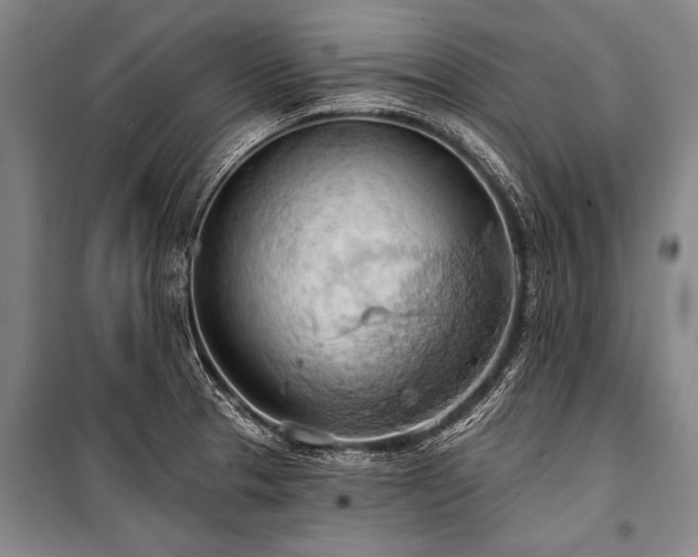 X0000101211329200806271405