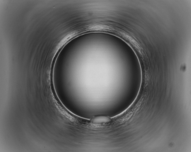X0000101211330200806271405