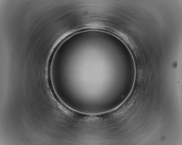 X0000101211331200806271405