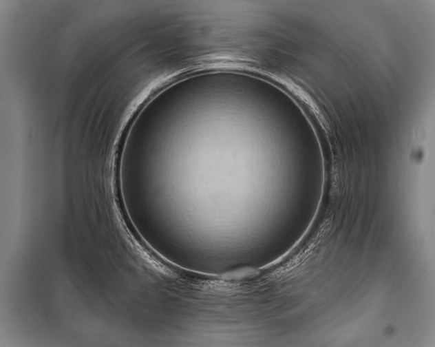 X0000101211333200806271405
