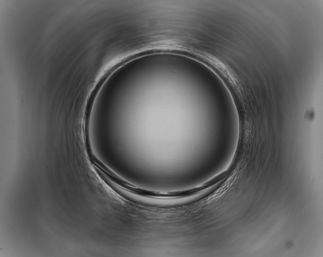X0000101211334200806271405