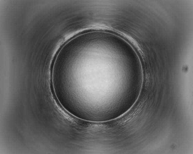 X0000101211335200806271405