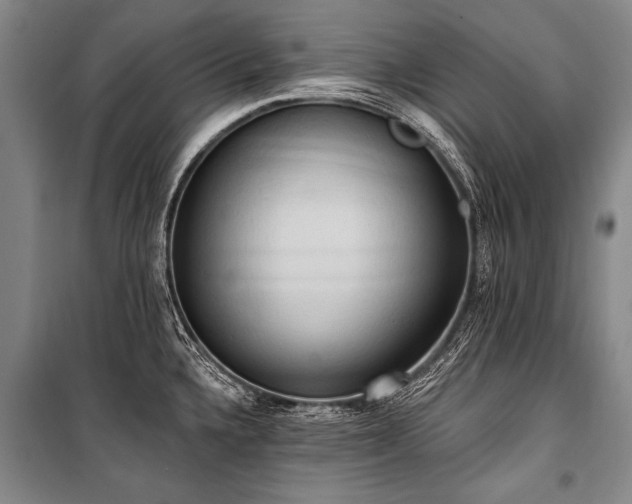 X0000101211336200806271405