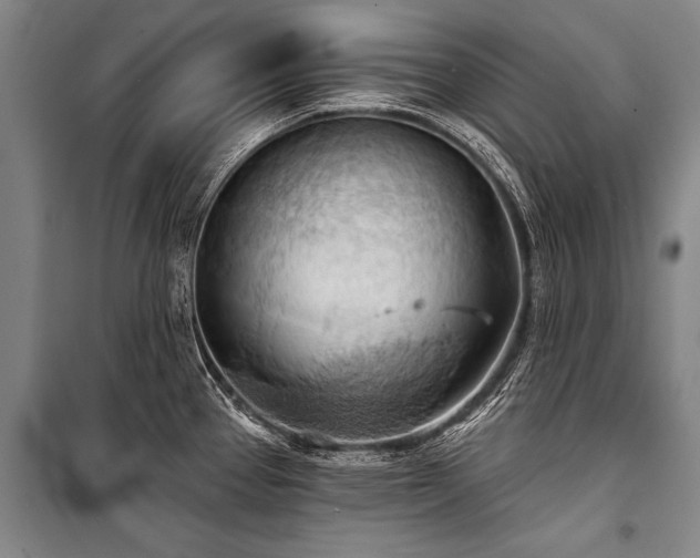 X0000101211337200806271405
