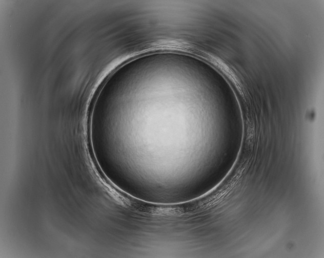 X0000101211339200806271405