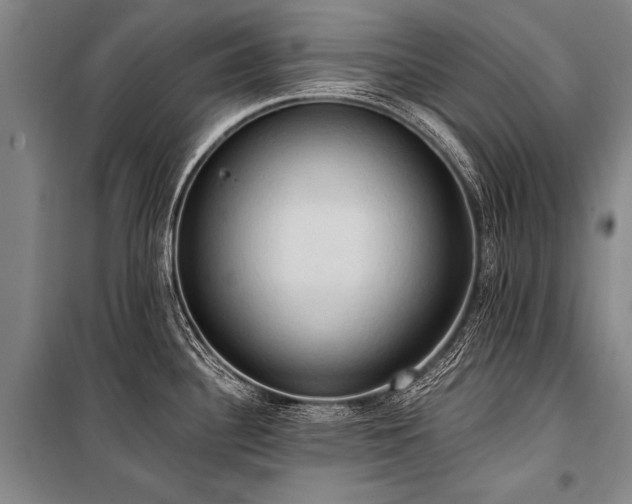 X0000101211340200806271405