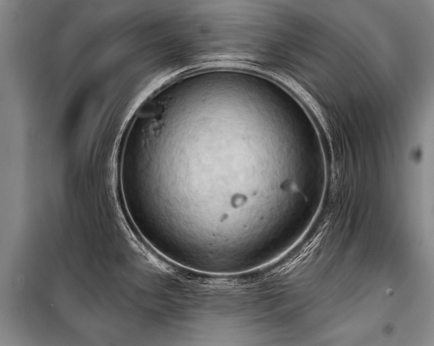 X0000101211341200806271405