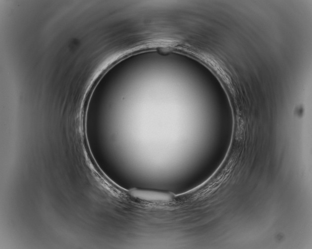 X0000101211342200806271405