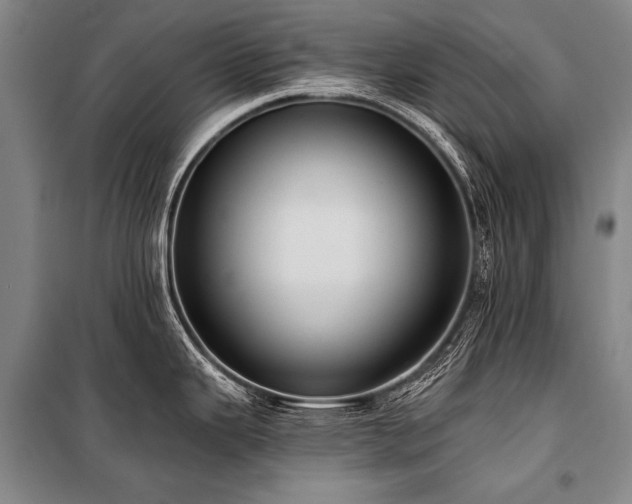 X0000101211343200806271405