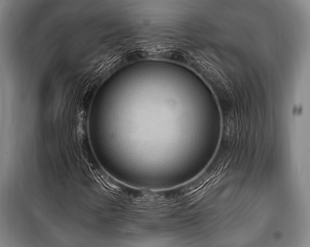 X0000101211346200806271405