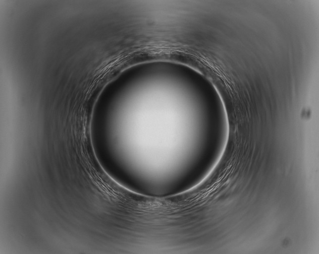 X0000101211348200806271405